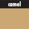 Slika različice za camel