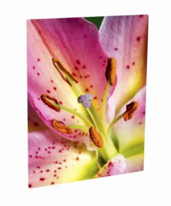 4008_aluminijasta_plosca_sublimacija_A4_mat